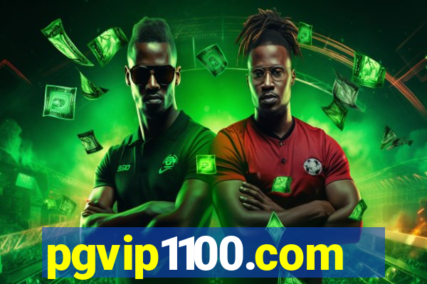 pgvip1100.com