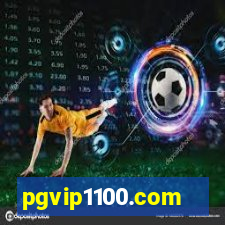 pgvip1100.com