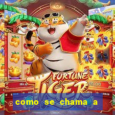 como se chama a empresa que distribui as cartas no brasil