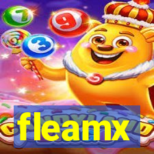 fleamx