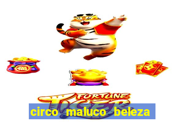 circo maluco beleza recife circo maluco