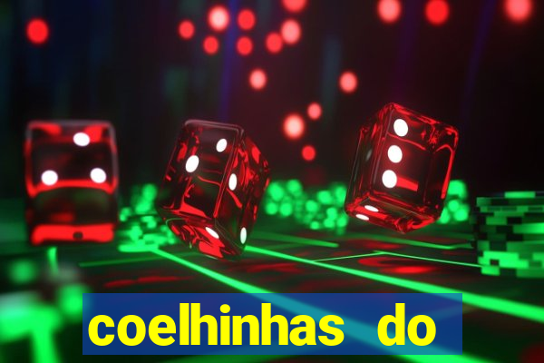 coelhinhas do brasil recife