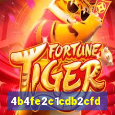 54bet cassino