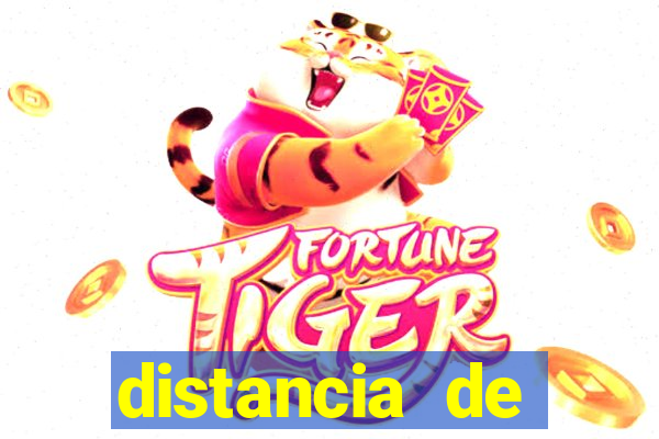 distancia de maragogi e porto de galinhas