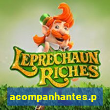 acompanhantes.pvh