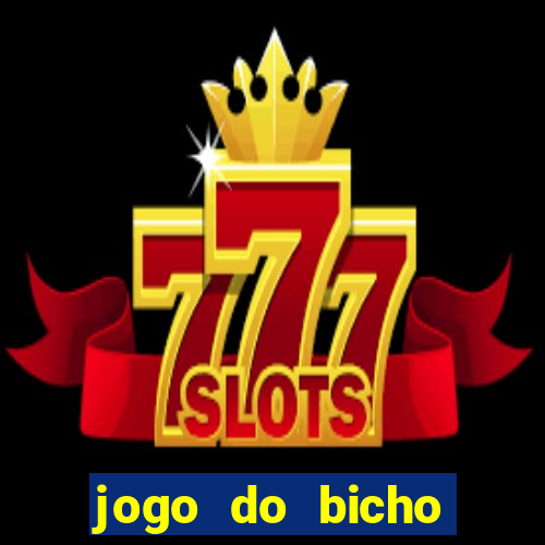 jogo do bicho crash bingo