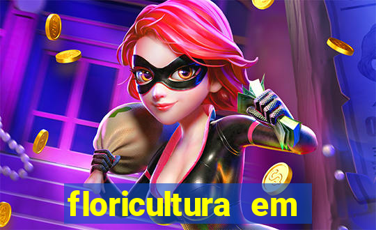 floricultura em lauro de freitas