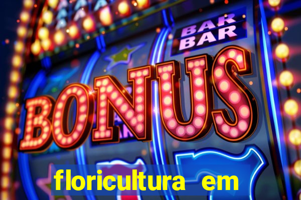 floricultura em lauro de freitas