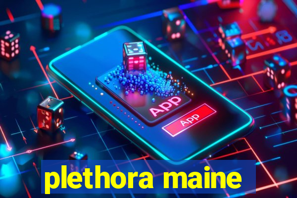 plethora maine