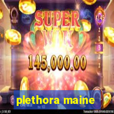 plethora maine