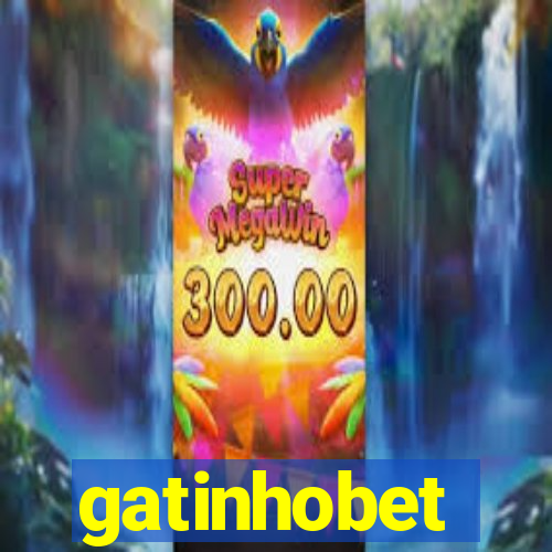 gatinhobet
