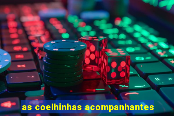 as coelhinhas acompanhantes