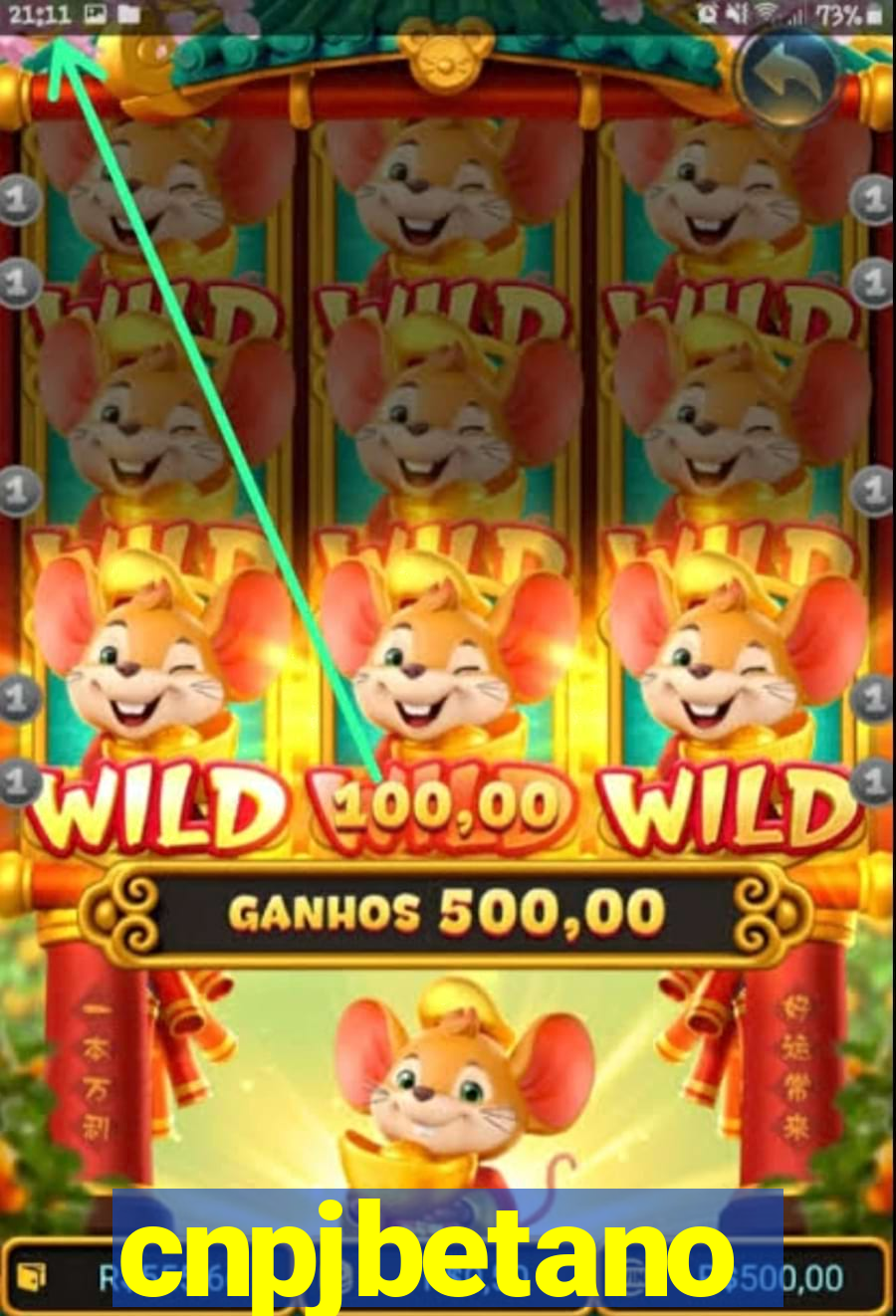 cnpjbetano
