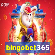 bingobet365