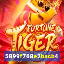 plataforma cpbet