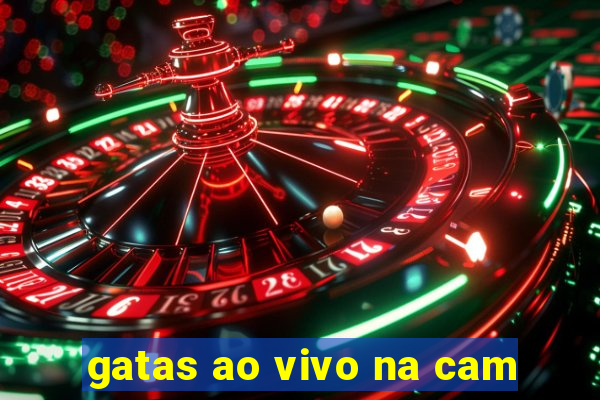 gatas ao vivo na cam