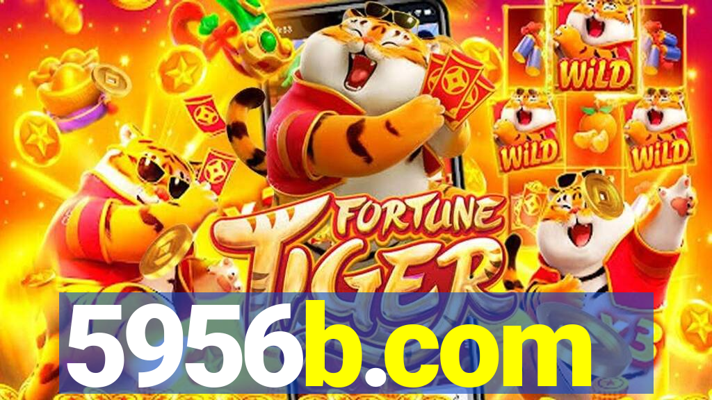 5956b.com