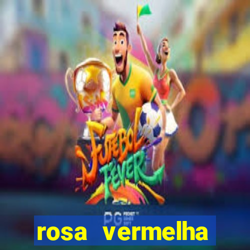rosa vermelha (letra e cifra)