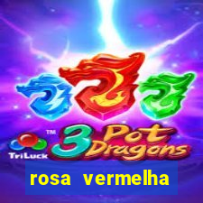 rosa vermelha (letra e cifra)