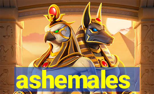ashemales