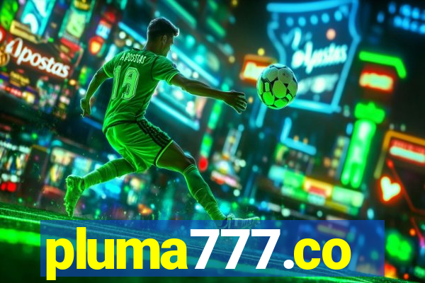 pluma777.co