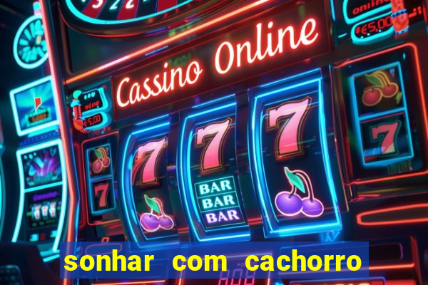 sonhar com cachorro cruzando jogo do bicho