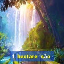 1 hectare são quantas tarefas na bahia