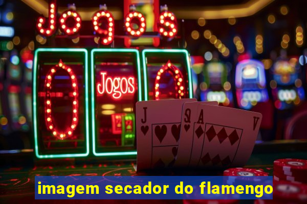 imagem secador do flamengo