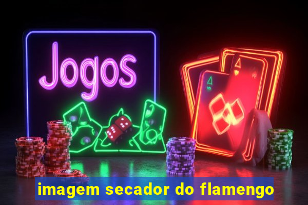 imagem secador do flamengo