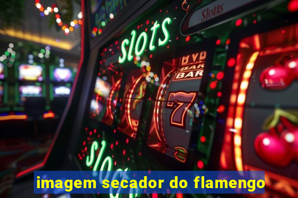 imagem secador do flamengo