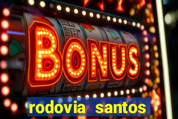 rodovia santos dumont br-116
