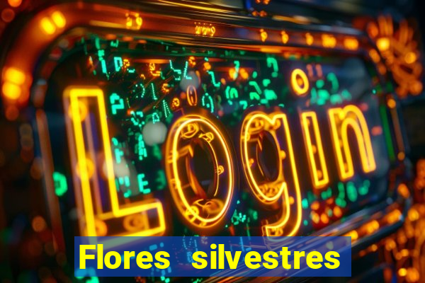 Flores silvestres brasileiras 25