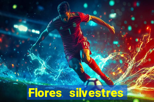 Flores silvestres brasileiras 25