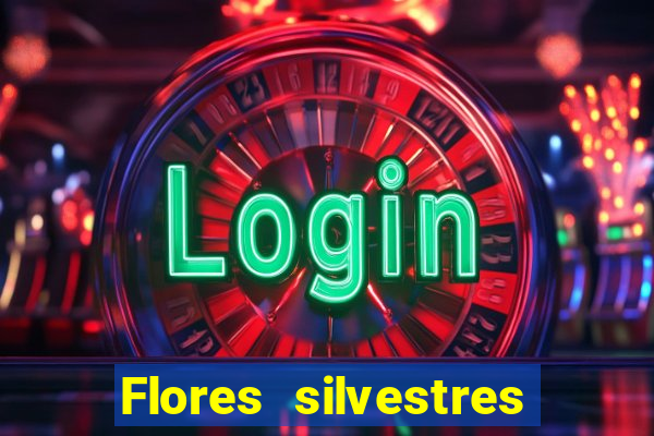 Flores silvestres brasileiras 25
