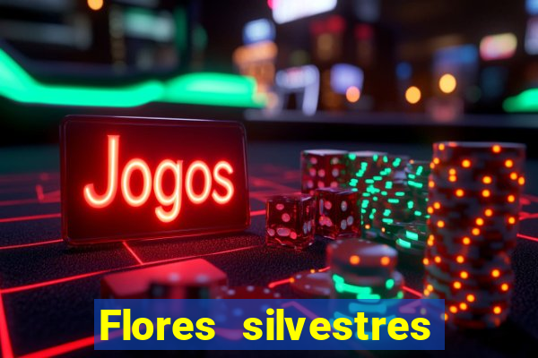 Flores silvestres brasileiras 25