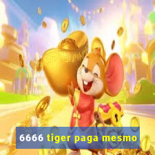 6666 tiger paga mesmo