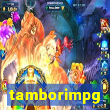 tamborimpg