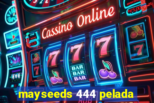 mayseeds 444 pelada