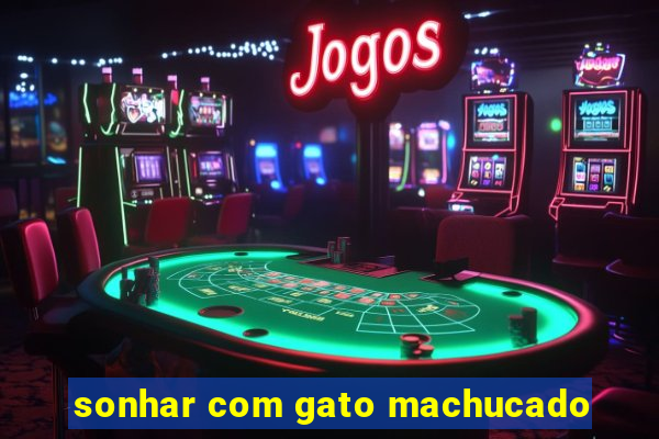 sonhar com gato machucado