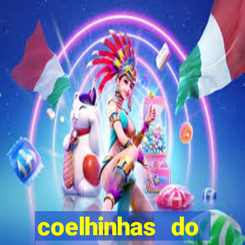 coelhinhas do brasil site