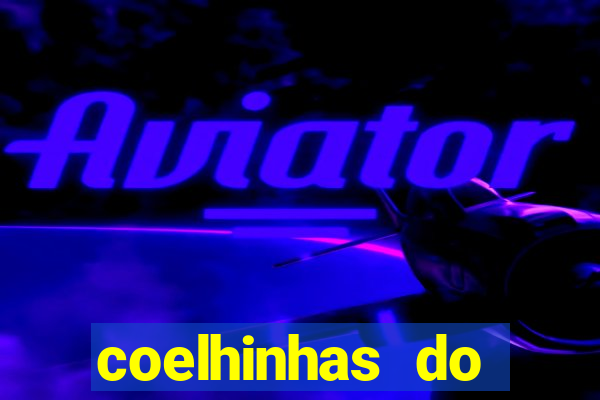 coelhinhas do brasil site