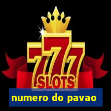 numero do pavao