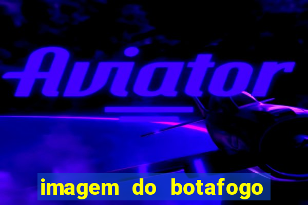 imagem do botafogo zuando o palmeiras