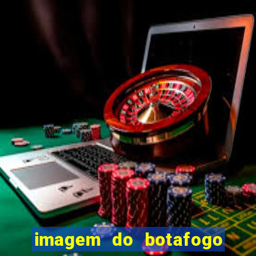 imagem do botafogo zuando o palmeiras