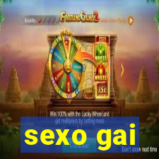 sexo gai