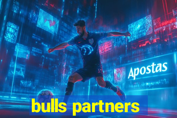 bulls partners