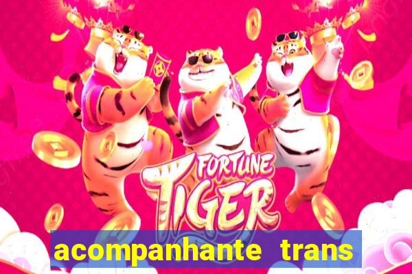 acompanhante trans baixada fluminense