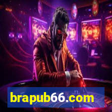 brapub66.com