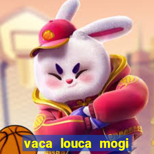 vaca louca mogi das cruzes