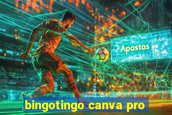 bingotingo canva pro